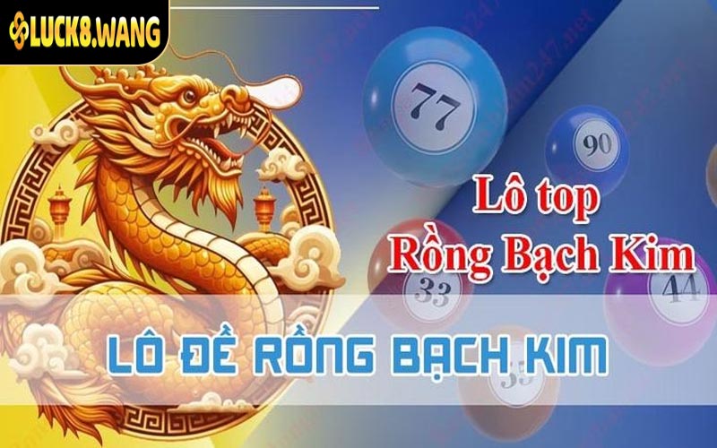 Tìm hiểu về soi cầu Rồng Bạch Kim mới nhất